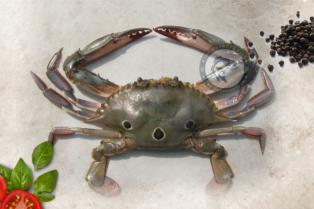 Three Spot Crab(Small)